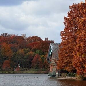 Meet your Posher, Adji